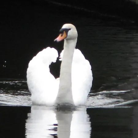 Houseboat On The Nieuwe Keizersgracht Båthotell Amsterdam