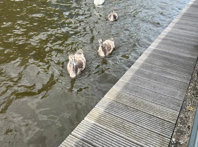 Houseboat On The Nieuwe Keizersgracht Botel